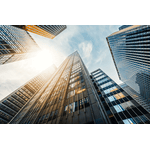 Sky Scrapers Image