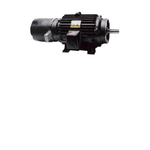 Black Max Inverter Duty Motor