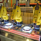 Farason, Stokes & US Mint Case Study1.JPG