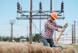 Image showing Moving Poles with Cant Hooks 