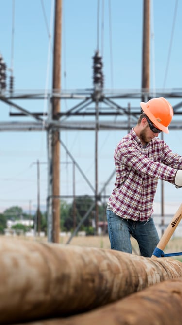Image showing Moving Poles with Cant Hooks 