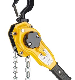 Yale_PT_Series_A_1600kg cut chain